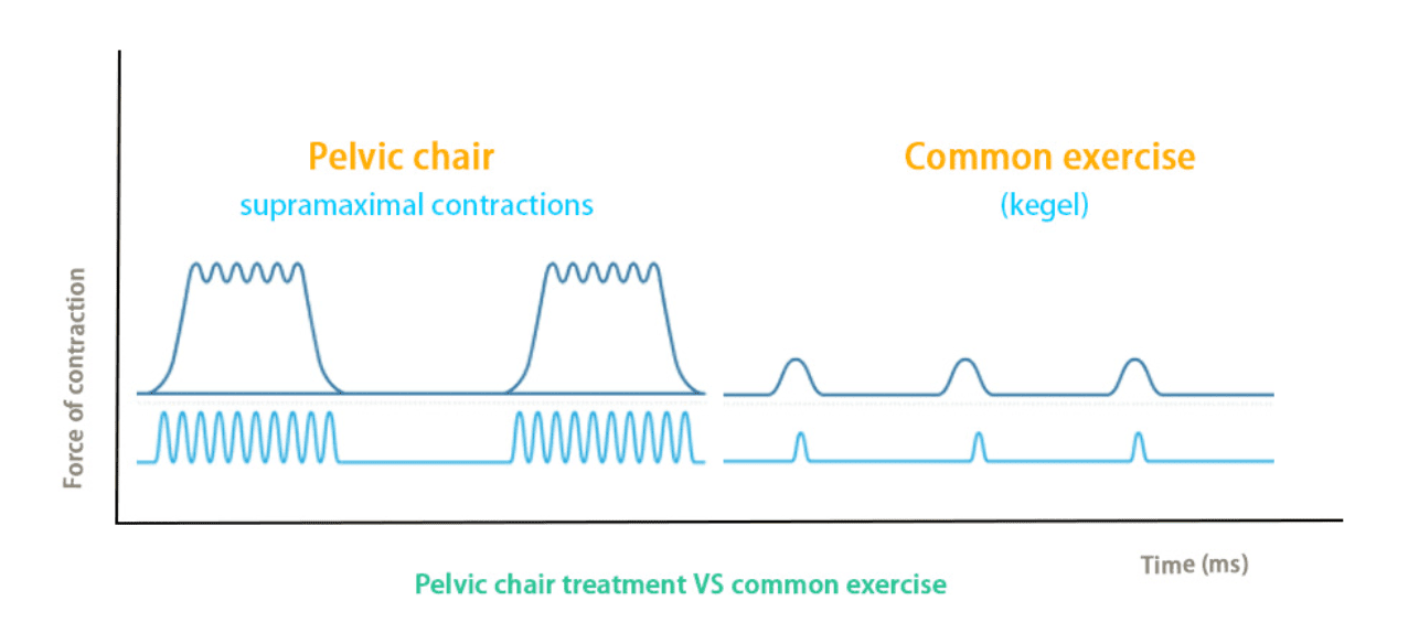 Pelvic chair vs common exercise